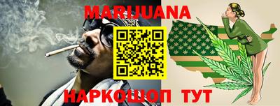 крисы Шелехов