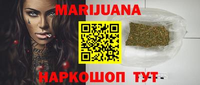 крисы Шелехов