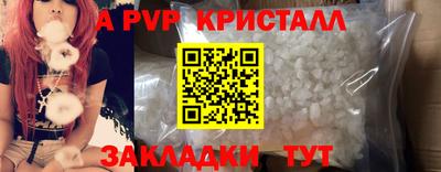 крисы Шелехов