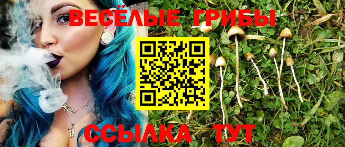 Псилоцибиновые грибы GOLDEN TEACHER Верхний Уфалей